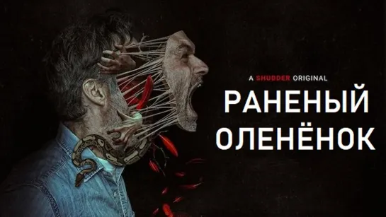 Раненый оленёнок / A Wounded Fawn (2022, США, триллер, ужасы)