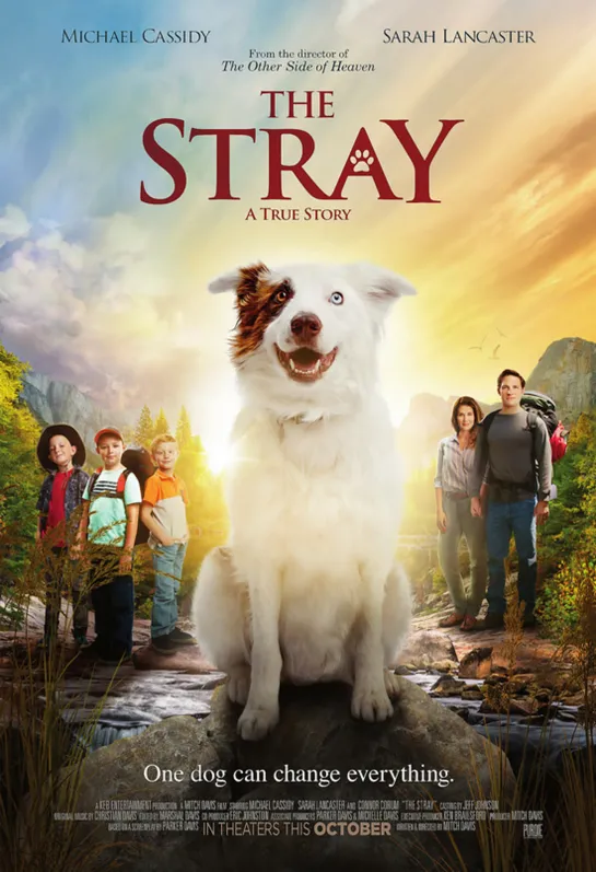 Бродяжка / The Stray (2017 США ) драма дети в кино Режиссёр: Митч Дэвис / Mitch Davis