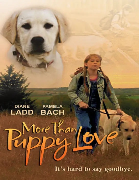 Больше, чем щенячья любовь /  More Than Puppy Love (2002 США) 2000) драма дети в кино