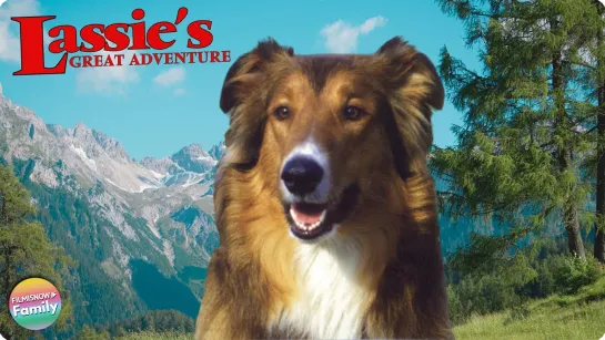 Большое приключение Лэсси / Lassie's Great Adventure, (1963 США) драма дети в кино Режиссёр: Уильям Бодайн