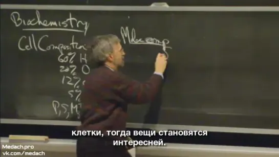 MIT Lecture Виды организмов, состав клетки часть 2