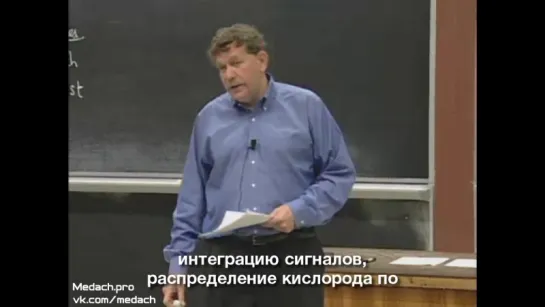 MIT Lecture Виды организмов, состав клетки часть 1