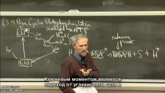 MIT Lecture фотосинтез