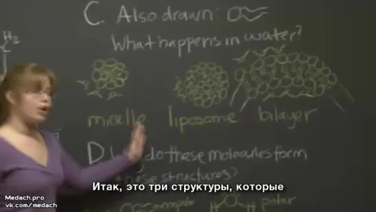 MIT Lecture макромолекулы кратко