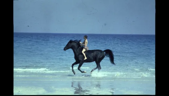 Черный скакун.1979