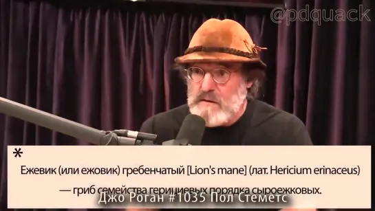 [1] Что Может Ноотропный Гриб [Lion's Mane]