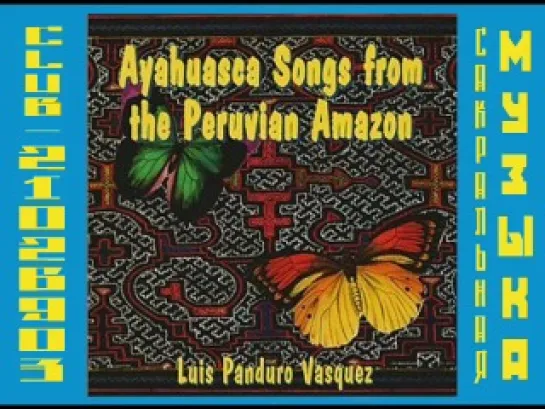 Don Luis Panduro Vasquez Ayahuasca Songs from the Peruvian Amazon