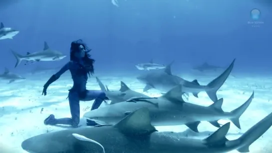 Tigress Shark - Woman Dances with Tiger Sharks