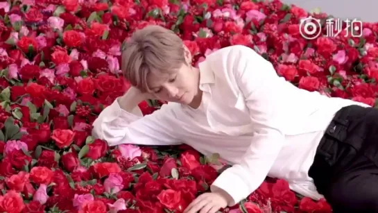 LuHan x L OCCITANE Rose Collection CF