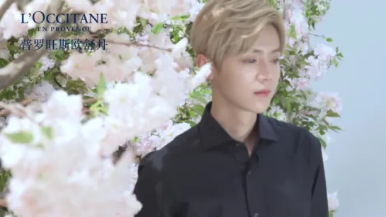 [ENG_1080P] 170518 鹿晗 LUHAN - L’OCCITANE EN PROVENCE Cherry Blossom Collection