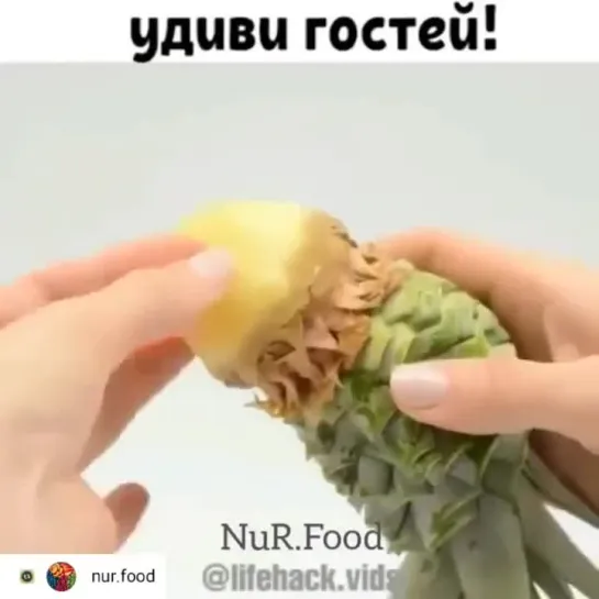 Удиви гocтей