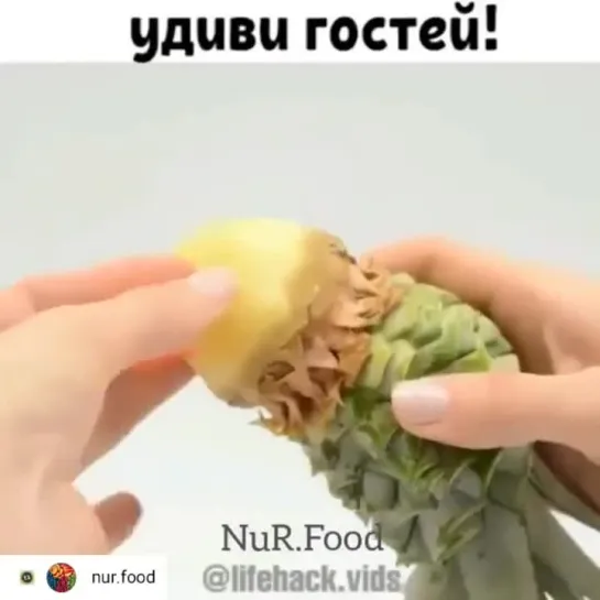 Удиви гocтей