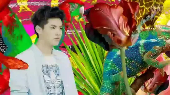 150516 Wu Yi Fan @ Adidas Originals ZX FLUX Campaign