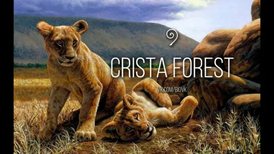 Crista Forest