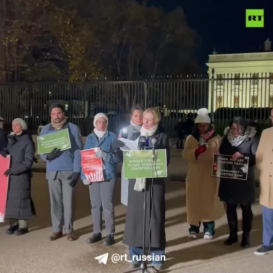 Синтия Никсон на акции в поддержку палестинцев