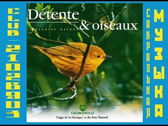 Melodies Nature 5 - Detente Et Oiseaux