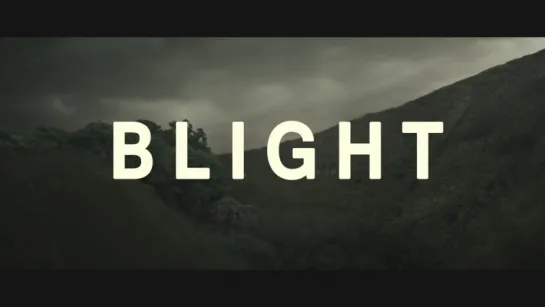 Blight