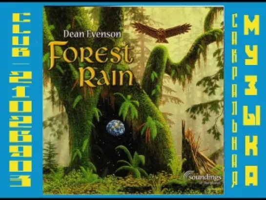 Дин Эвенсон \ Dean Evenson.  1994 - Forest Rain