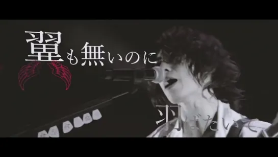 SHIN「jack the ripper」【OFFICIAL LIVE MV】