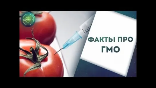 Какой вред от ГМО продуктов - факты ...