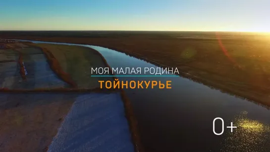 Тойнокурье