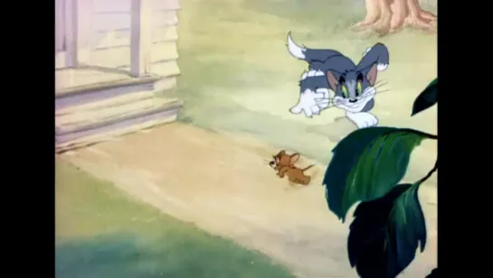 Tom And Jerry - 009 - Sufferin_ Cats (1943)