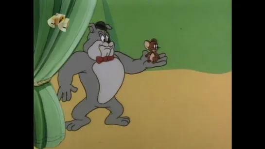 The Tom and Jerry Comedy Show 223