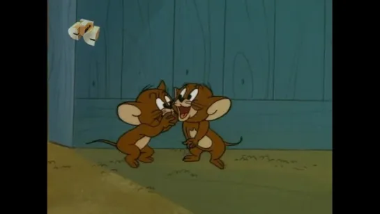 The Tom and Jerry Comedy Show 222