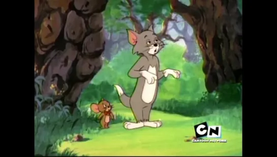 TOM  JERRY - 170 - Robin Ho Ho (1975-09-20)