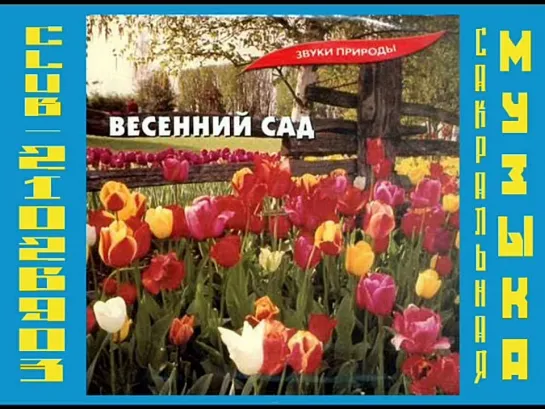 Весенний сад