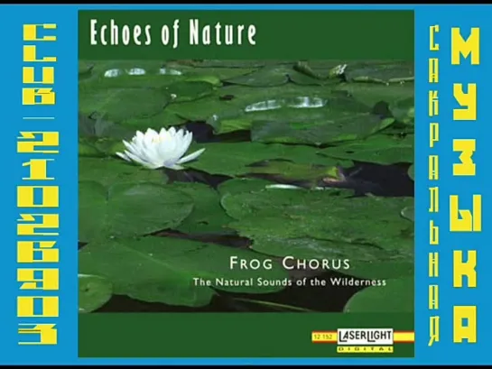 Echoes of Nature - Frog Chorus. Лягушачьи хоры. Звуки природы.