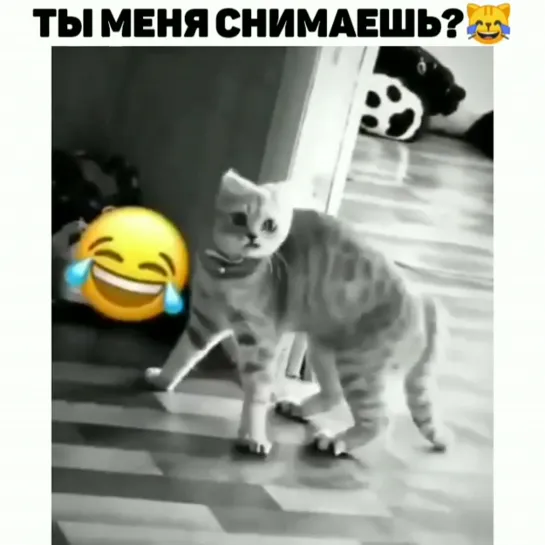 Тыгыдык шикарный!))