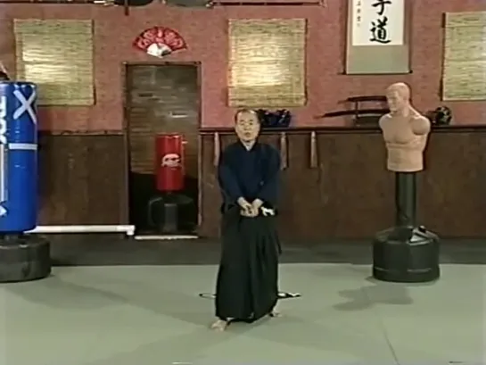 Iaido 6  - Six Basic Moves