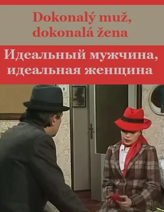 Идеальный мужчина, идеальная женщина (1986) Dokonalý muž, dokonalá žena