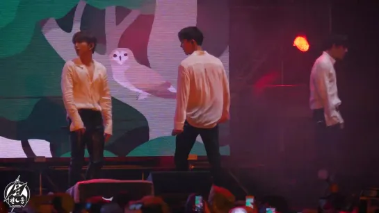 [fancam][19.05.2019] All Family Music Festival 2019 - FALLIN (SHOWNU Focus)