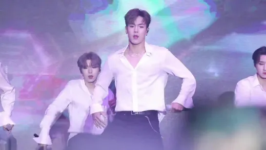 [fancam][19.05.2019] All Family Music Festival 2019 - Alligator (SHOWNU FOCUS)