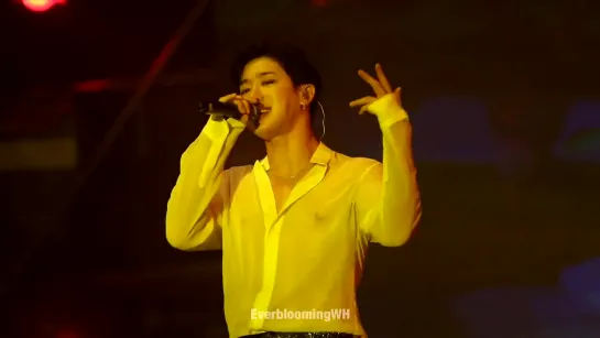 [fancam][19.05.2019] All Family Music Festival 2019 (Wonho focus)