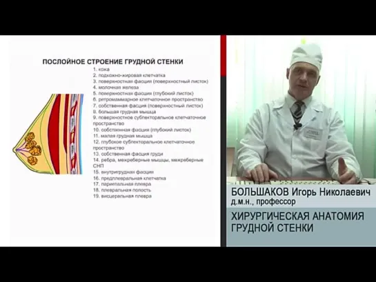 Большаков - Грудная полость