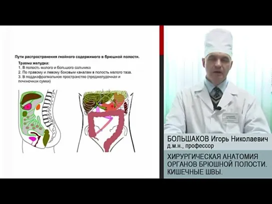 Большаков - Брюшная полость