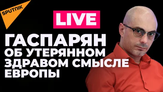 "Совсем слетели с катушек!" - Гаспарян об истинном положении дел в ЕС