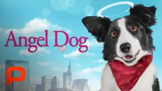 Собака - Ангел-Хранитель / Ангельский пес / Angel Dog (2011) драма дети в кино