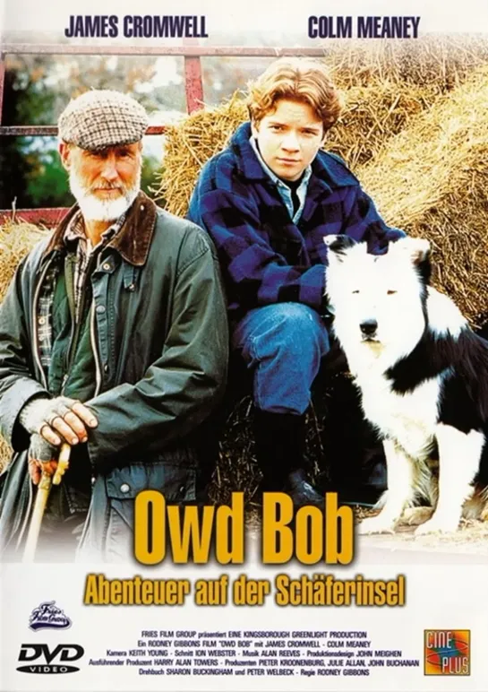 Старина Боб / Owd Bob (1998 Канада, Великобритания) 1997 ) драма дети в кино Режиссер: Родни Гиббонс / Rodney Gibbons