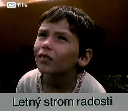 Летнее дерево радости / Мимолетные радости / Letny strom radosti /Letný strom radosti (1984) драма дети в кино Реж Ivan Hustava