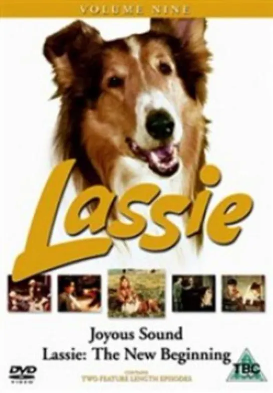 Лесси: Звуки радости / Lassie: Joyous Sound (1973) драма приключения дети в кино