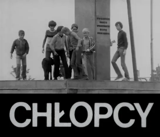 Мальчики / Chlopcy / Chłopcy (1982 Польша) документальный короткометражный дети в кино Режиссёр: Мацей Дейчер / Maciej Dejczer