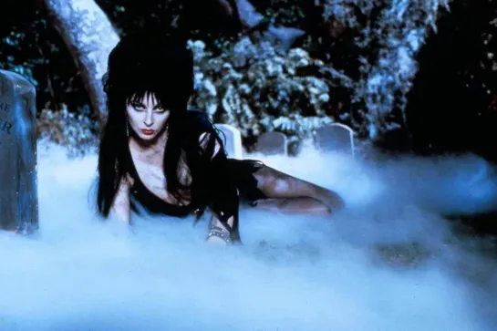 Эльвира: Повелительница тьмы / Elvira: Mistress of the Dark (1988)