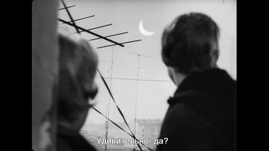 Солнце в сети / Slnko v sieti (1962)