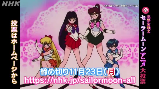 Bishoujo Senshi Sailor Moon Anime Big Vote (1)