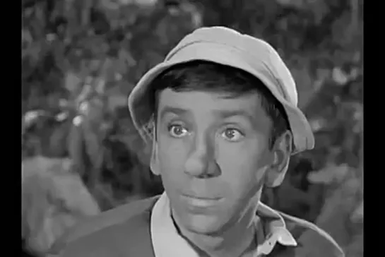 Остров Гиллигана / Gilligan's Island, (1964–1967) сезон 1 серия 36  / 1x36-a-nose-by-any-other-name