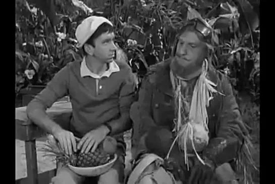 Остров Гиллигана / Gilligan's Island, (1964–1967) сезон 1 серия 5  / 1x05-wrongway-feldman